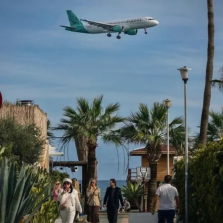 Daire Paradise Homes 9